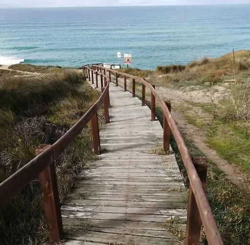 Pe Na * Torres Vedras